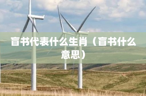 盲书代表什么生肖（盲书什么意思）