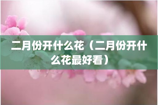 二月份开什么花（二月份开什么花最好看）