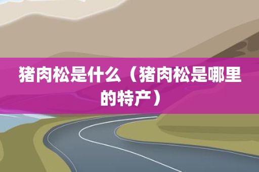 猪肉松是什么(猪肉松是哪里的特产)