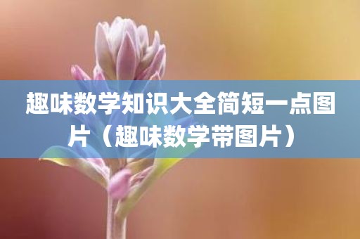 趣味数学知识大全简短一点图片(趣味数学带图片) 趣味数学知识大全简短一点图片(趣味数学带图片)