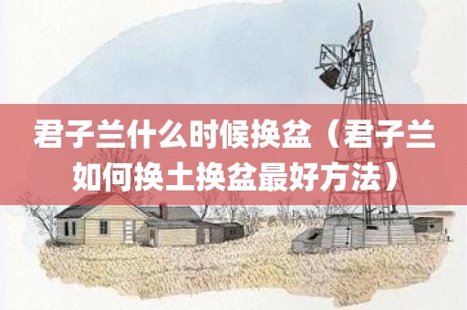 君子兰什么时候换盆（君子兰如何换土换盆最好方法）