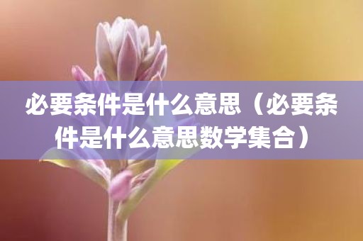必要条件是什么意思（必要条件是什么意思数学集合）