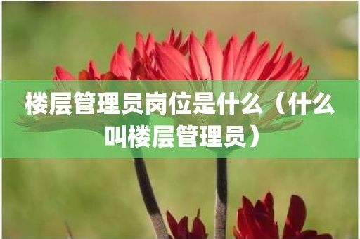 楼层管理员岗位是什么（什么叫楼层管理员）