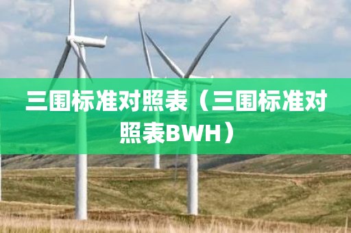 三围标准对照表（三围标准对照表BWH）