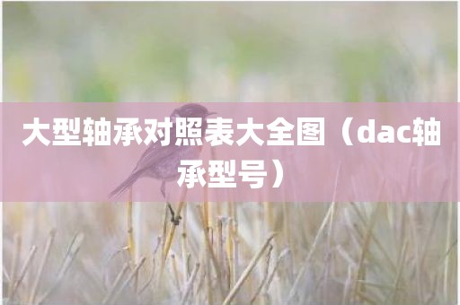 大型轴承对照表大全图（dac轴承型号）