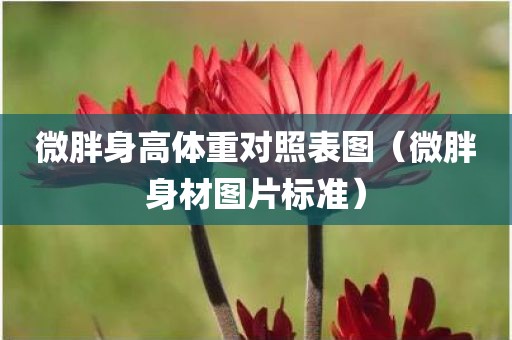 微胖身高体重对照表图（微胖身材图片标准）