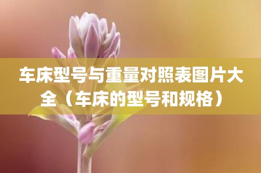 车床型号与重量对照表图片大全（车床的型号和规格）
