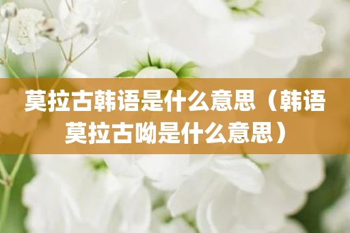 莫拉古韩语是什么意思(韩语莫拉古呦是什么意思)