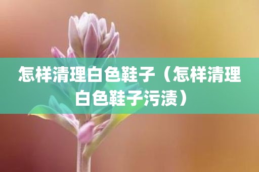 怎样清理白色鞋子（怎样清理白色鞋子污渍）