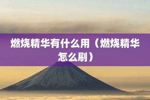 燃烧精华有什么用（燃烧精华怎么刷）