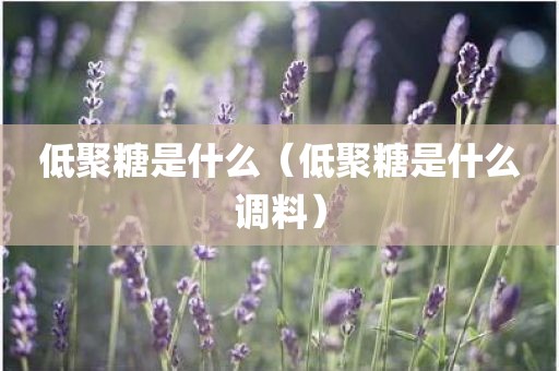 低聚糖是什么（低聚糖是什么调料）