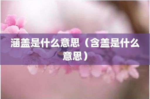 涵盖是什么意思（含盖是什么意思）
