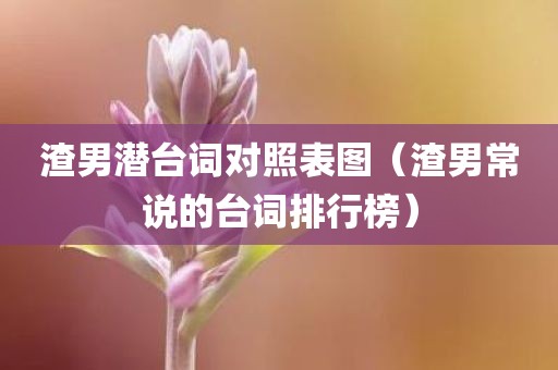 渣男潜台词对照表图（渣男常说的台词排行榜）