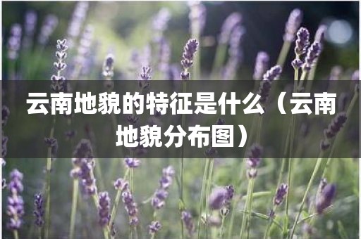 云南地貌的特征是什么(云南地貌分布图)