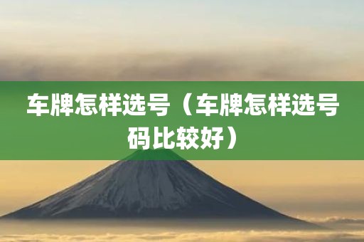 车牌怎样选号（车牌怎样选号码比较好）