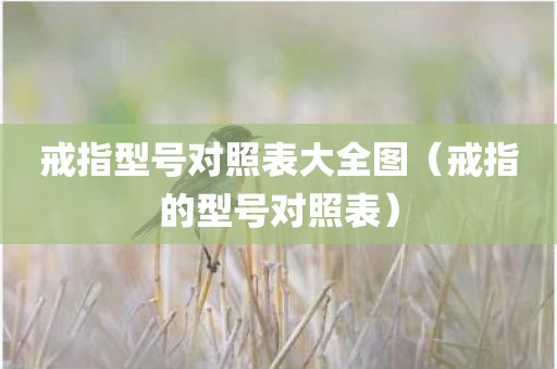 戒指型号对照表大全图（戒指的型号对照表）