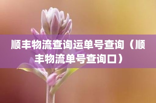 顺丰物流查询运单号查询(顺丰物流单号查询口) 顺丰物流查询运单号查询(顺丰物流单号查询口)