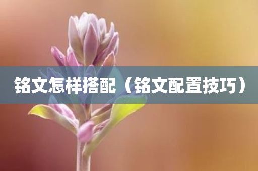 铭文怎样搭配（铭文配置技巧）