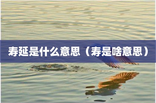 寿延是什么意思（寿是啥意思）