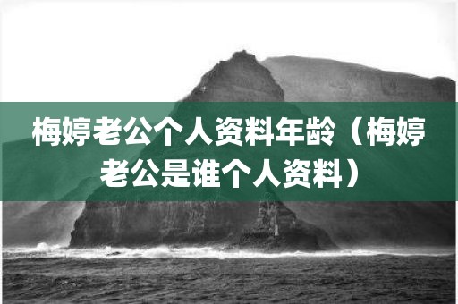 梅婷老公个人资料年龄（梅婷老公是谁个人资料）