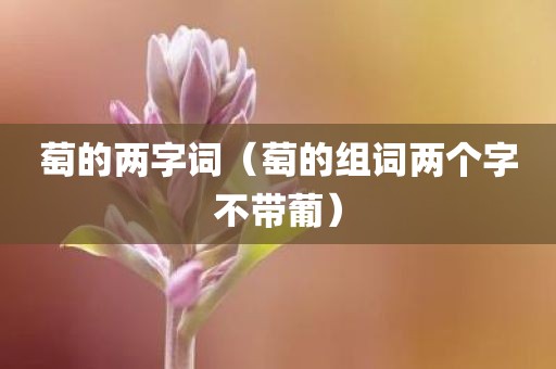 萄的两字词（萄的组词两个字不带葡）