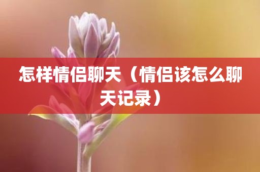 怎样情侣聊天(情侣该怎么聊天记录)