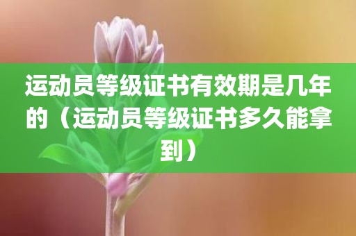 运动员等级证书有效期是几年的（运动员等级证书多久能拿到）