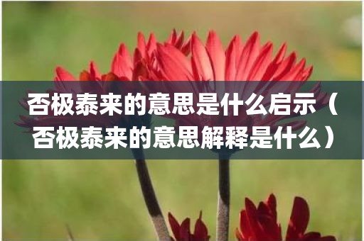 否极泰来的意思是什么启示（否极泰来的意思解释是什么）