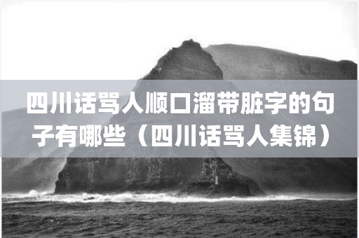 四川话骂人顺口溜带脏字的句子有哪些（四川话骂人集锦）