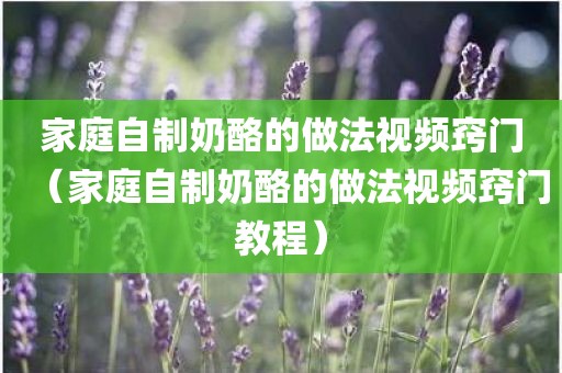 家庭自制奶酪的做法视频窍门（家庭自制奶酪的做法视频窍门教程）