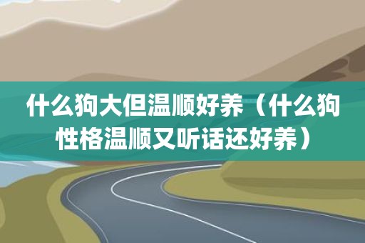 什么狗大但温顺好养(什么狗性格温顺又听话还好养)