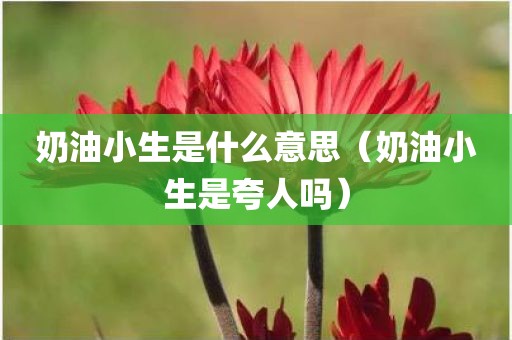 奶油小生是什么意思（奶油小生是夸人吗）