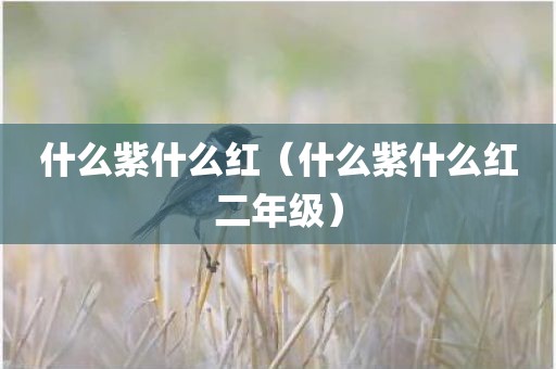 什么紫什么红(什么紫什么红二年级) 什么紫什么红(什么紫什么红二年级)
