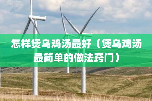 怎样煲乌鸡汤最好（煲乌鸡汤最简单的做法窍门）