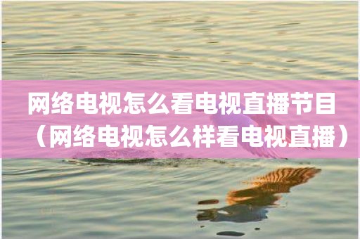 网络电视怎么看电视直播节目（网络电视怎么样看电视直播）