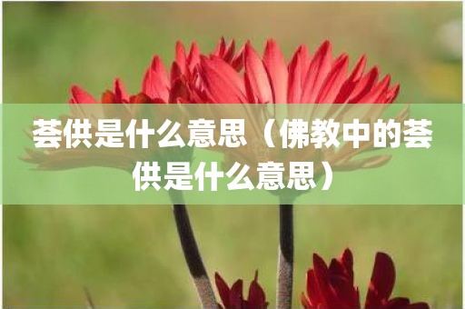 荟供是什么意思（佛教中的荟供是什么意思）