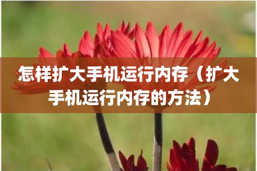 怎样扩大手机运行内存（扩大手机运行内存的方法）