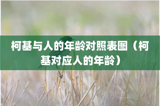 柯基与人的年龄对照表图（柯基对应人的年龄）