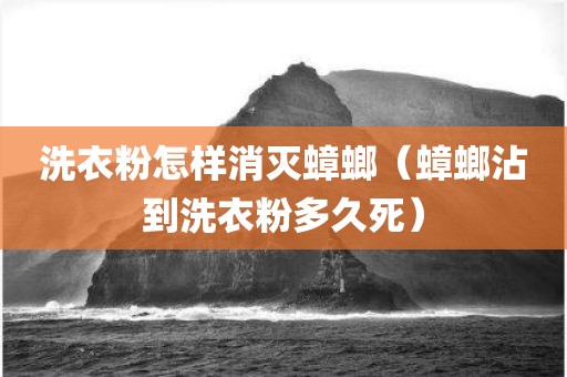洗衣粉怎样消灭蟑螂（蟑螂沾到洗衣粉多久死）