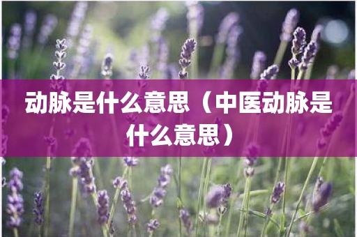 动脉是什么意思（中医动脉是什么意思）
