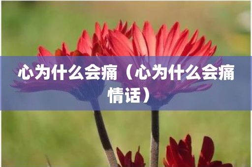 心为什么会痛（心为什么会痛 情话）