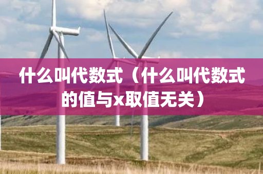 什么叫代数式（什么叫代数式的值与x取值无关）
