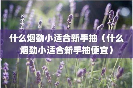 什么烟劲小适合新手抽（什么烟劲小适合新手抽便宜）