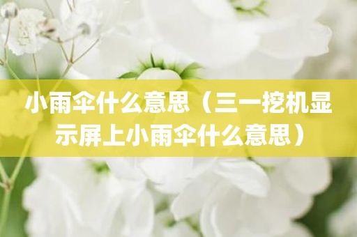 小雨伞什么意思（三一挖机显示屏上小雨伞什么意思）