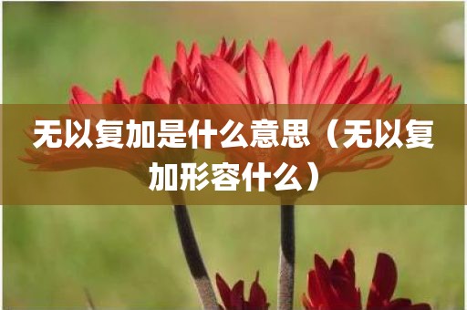 无以复加是什么意思（无以复加形容什么）