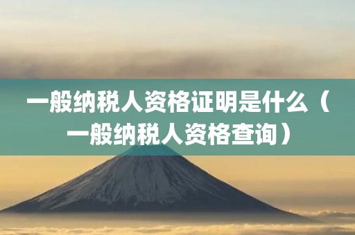 一般纳税人资格证明是什么（一般纳税人资格查询）