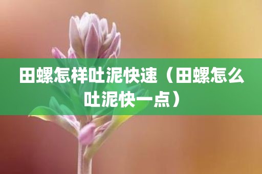 田螺怎样吐泥快速（田螺怎么吐泥快一点）