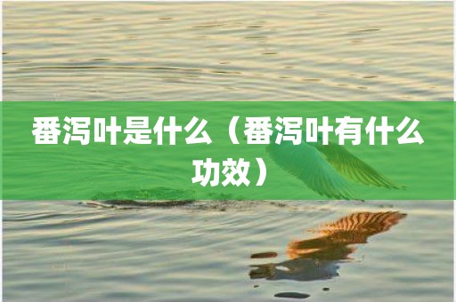 番泻叶是什么（番泻叶有什么功效）
