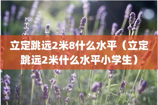 立定跳远2米8什么水平（立定跳远2米什么水平小学生）