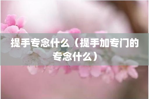 提手专念什么（提手加专门的专念什么）